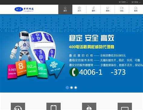 大气网站建设与推广权威指南 费用科目处理及上海企业实践新观察
